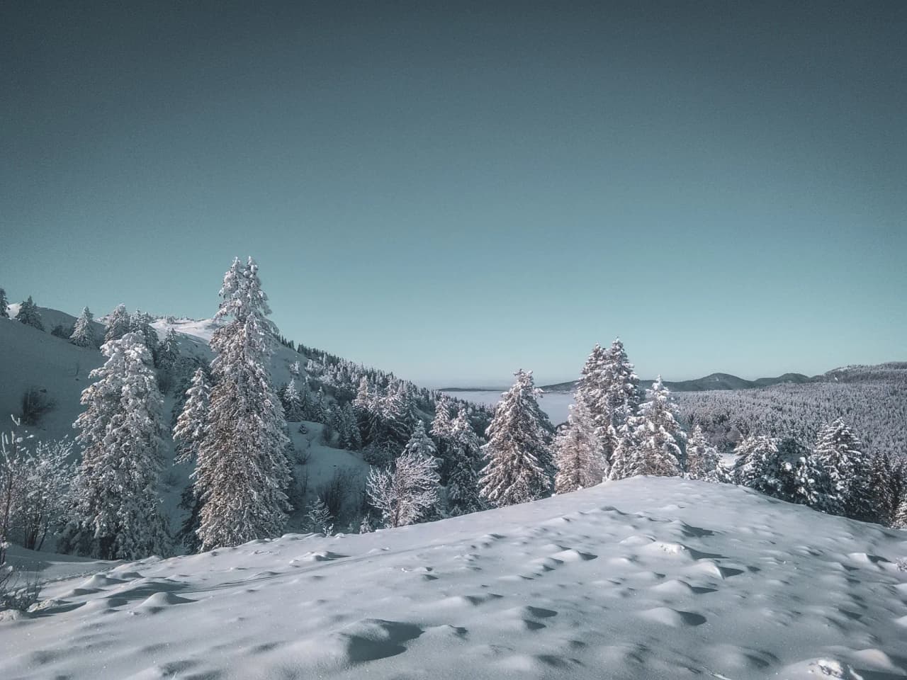 An enchanting winter landscape in the Swiss Jura, with snow-covered trees under a clear sky.
