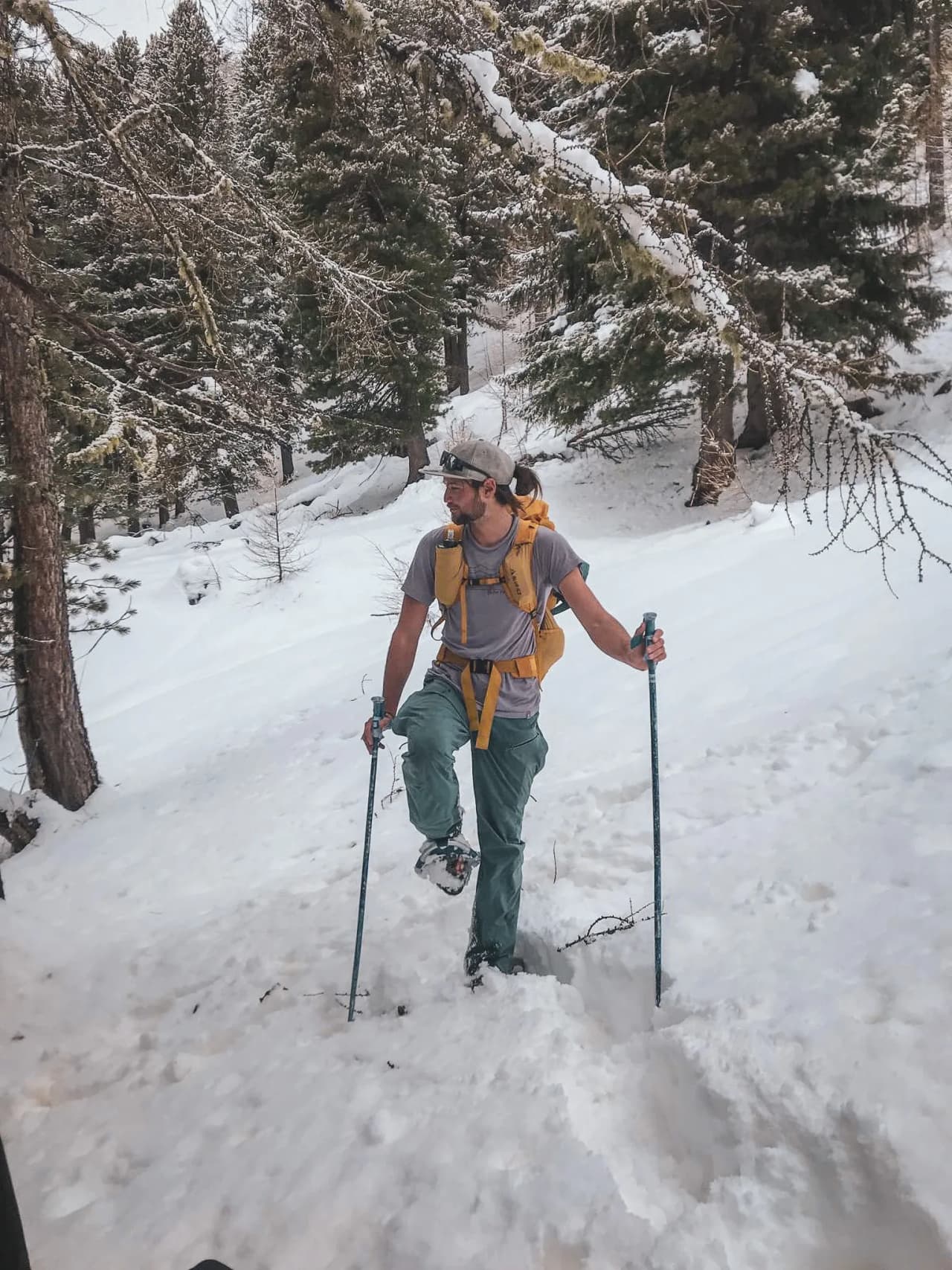 A hiker on snowshoes ventures into a snow-covered landscape, surrounded by majestic pine trees.