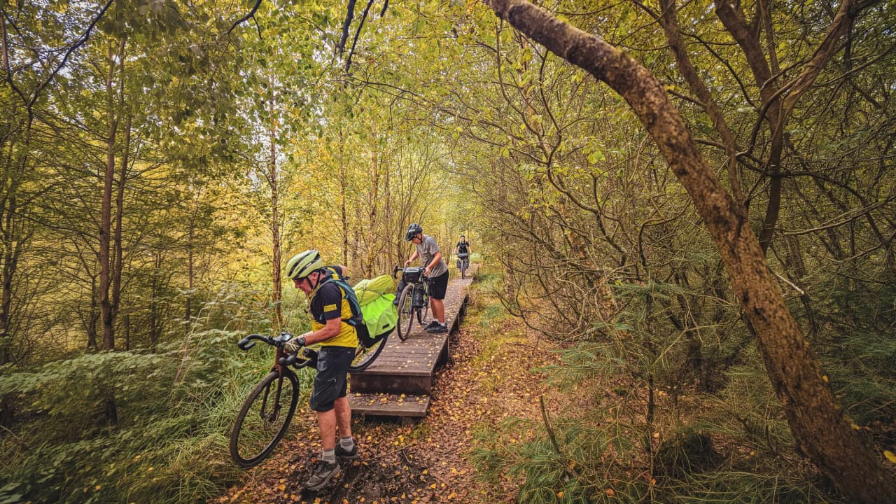 Three cyclists explore an autumn-coloured forest trail in the Ardennes.