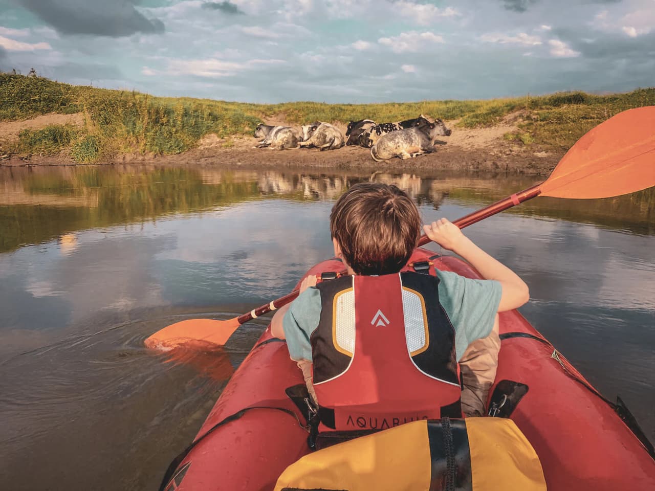 Un enfant pagaye en packraft, observant des vaches sur la berge d'une rivière paisible.