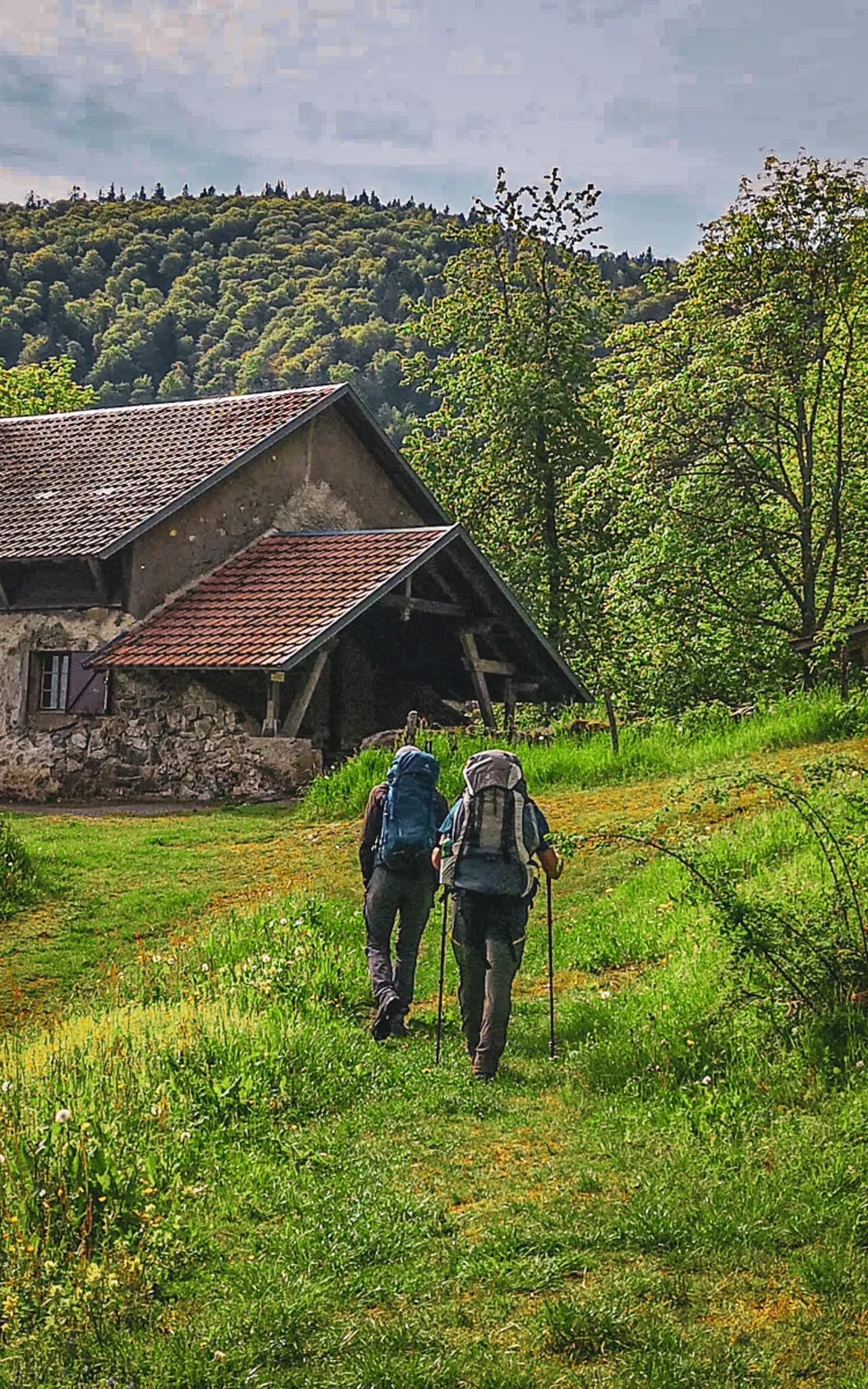 3 jours de randonnée et bivouac dans les Vosges