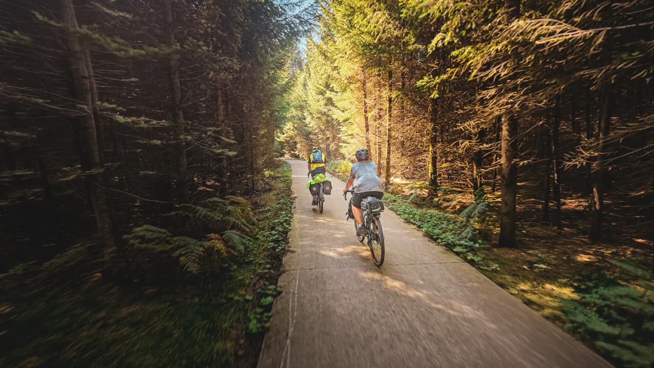 View from a tent, revealing a lush forest and a bike ready for adventure.