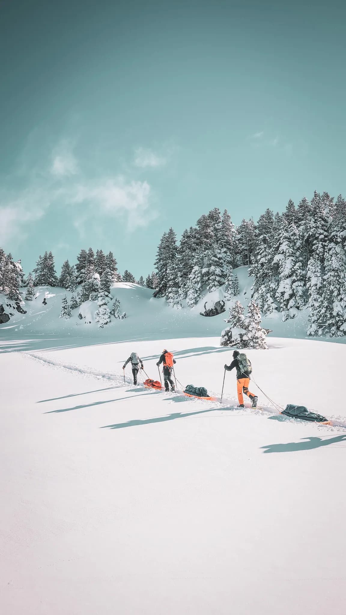 Traversée du Vercors en raquette et pulka