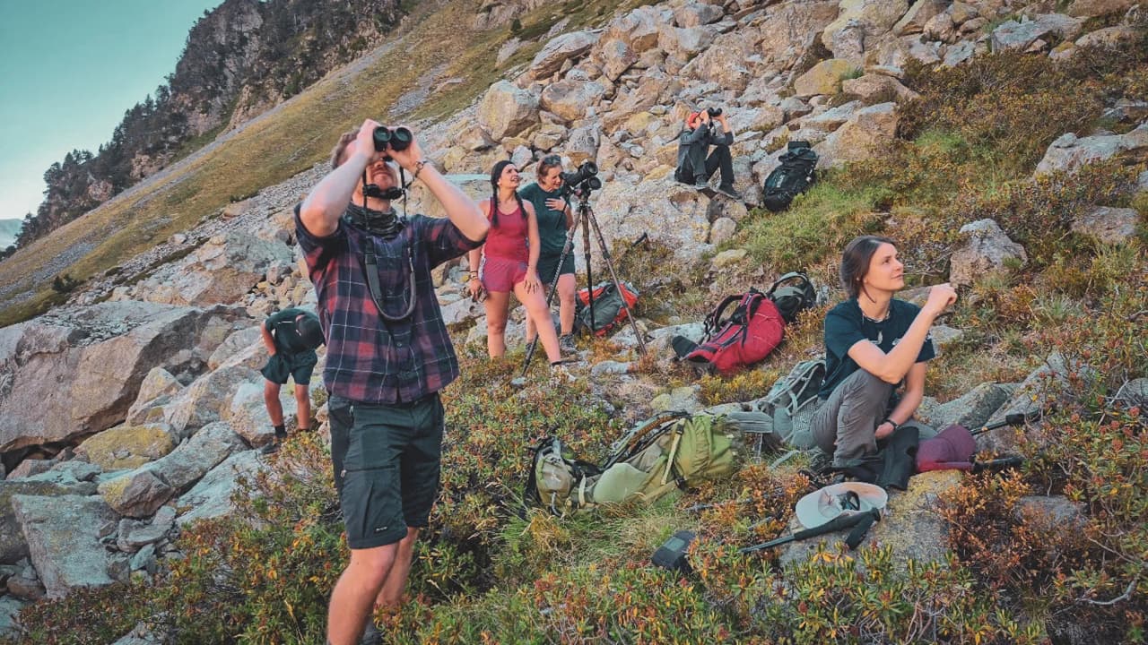Groupe de randonneurs en pleine observation de la faune dans les Hautes Pyrénées, au cœur de la nature.