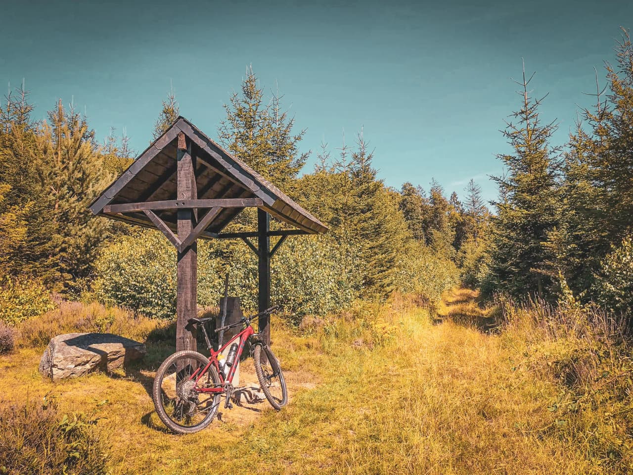 A peaceful woodland trail with a red bike and a wooden shelter, inviting you on an adventure.
