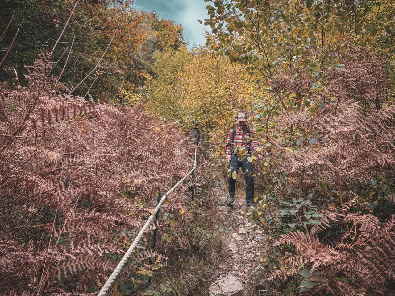 Hiker sur un sentier forestier coloré d'Ardenne, entouré de fougères et d'automne. Aventure immersive !