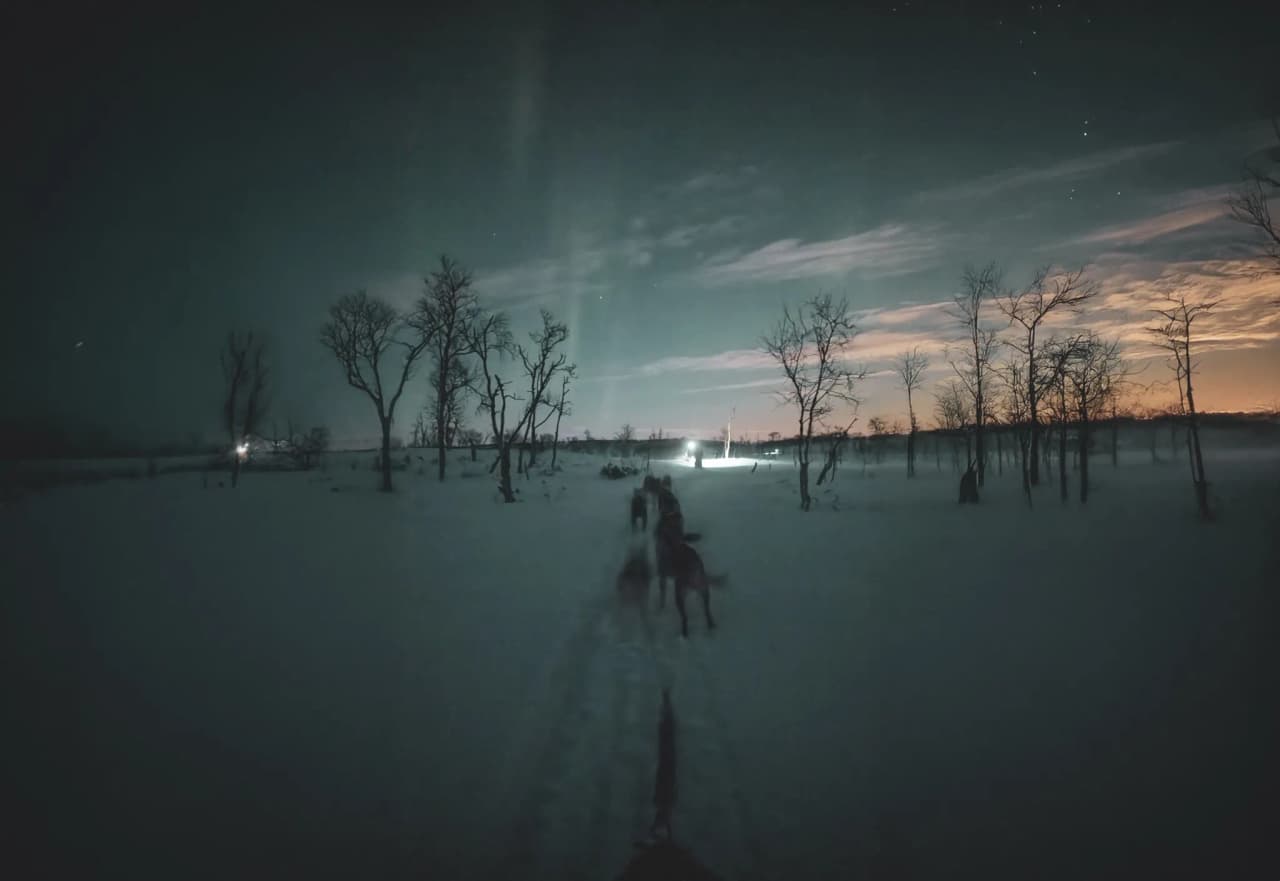 A night-time dog-sledding expedition across the snow-covered tundra, illuminated by the stars.
